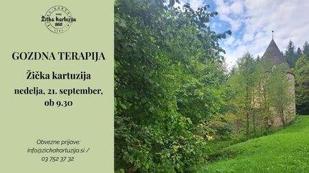 GOZDNA TERAPIJA naslovna fotografija 21. 10. 2025